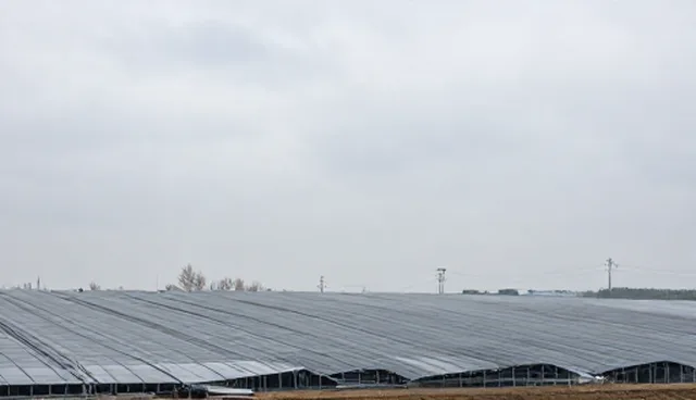 搬家配送中库存管理如何影响成本控制